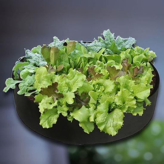 Imaginea din Strat textil 50 l, 60 x 20 cm