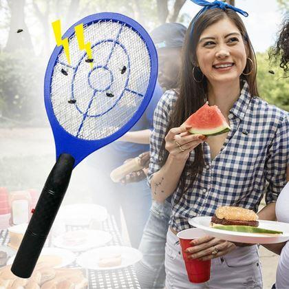 Imaginea din Paletă electrică - paralizator insecte