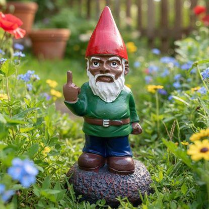 Imaginea Trasylvania Gnome - Gnomul Amuzant din Grădină