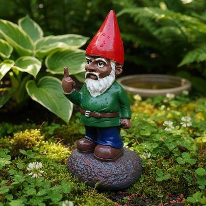Imaginea din Trasylvania Gnome - Gnomul Amuzant din Grădină