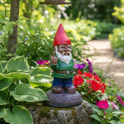 Imaginea din Trasylvania Gnome - Gnomul Amuzant din Grădină