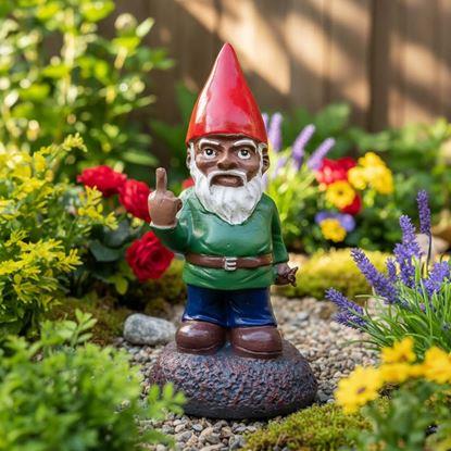 Imaginea Trasylvania Gnome - Gnomul Amuzant din Grădină