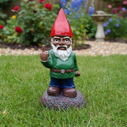 Imaginea Trasylvania Gnome - Gnomul Amuzant din Grădină