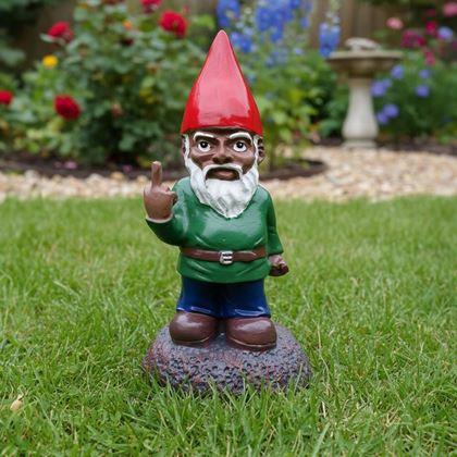 Imaginea din Trasylvania Gnome - Gnomul Amuzant din Grădină
