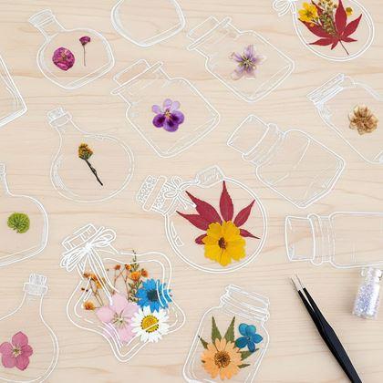 Imaginea din Ierbar DIY - autocolante cu flori uscate