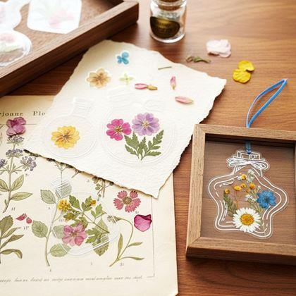 Imaginea din Ierbar DIY - autocolante cu flori uscate