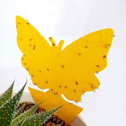 Imaginea Protecție pentru plante împotriva insectelor 12 buc
