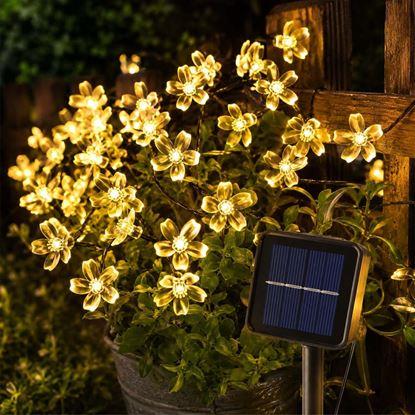 Imaginea Șirag solar luminos - flori