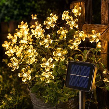 Imaginea din Șirag solar luminos - flori
