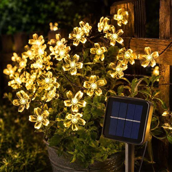 Imaginea din Șirag solar luminos - flori