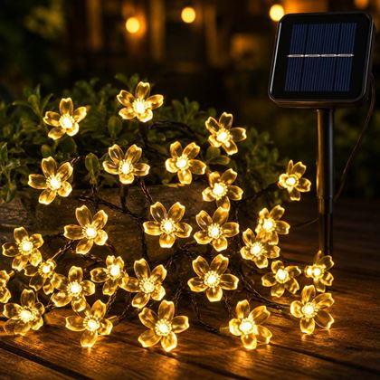 Imaginea din Șirag solar luminos - flori