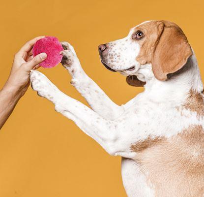 Imaginea Minge mobilă pentru animale de companie