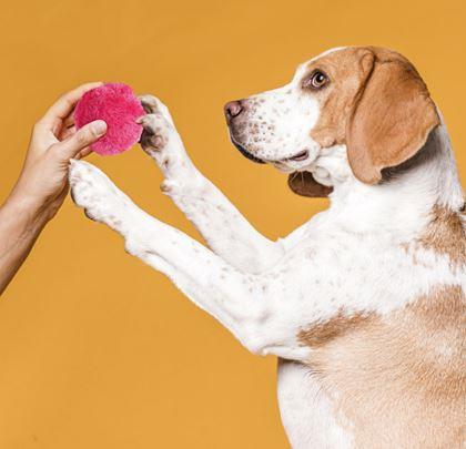 Imaginea din Minge mobilă pentru animale de companie