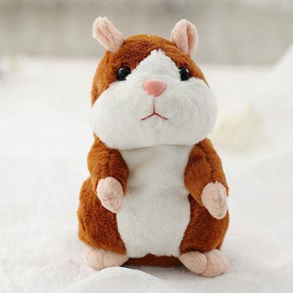 Imaginea din Hamster inteligent
