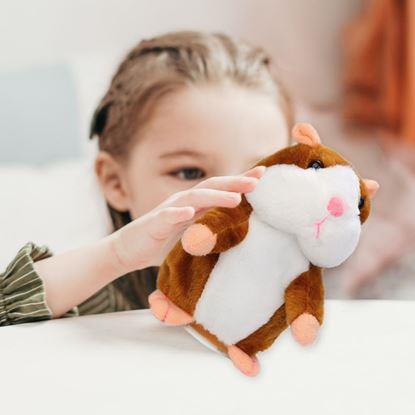Imaginea Hamster inteligent