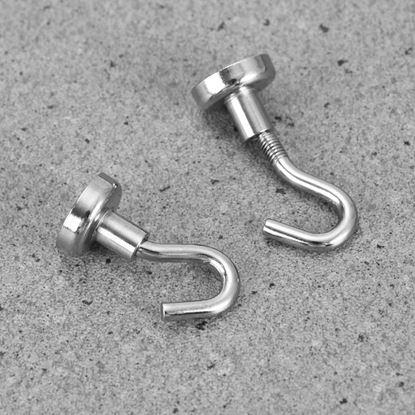 Imaginea Cârlig magnetic