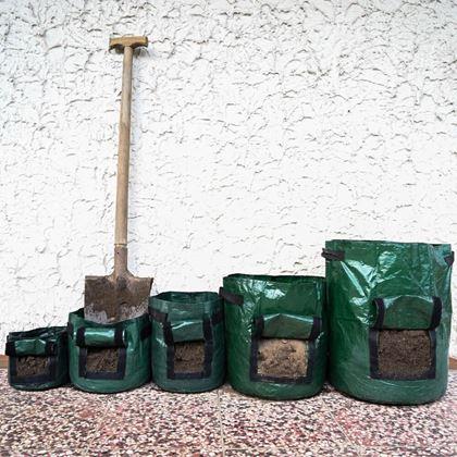 Imaginea din Sac de cultivare - L
