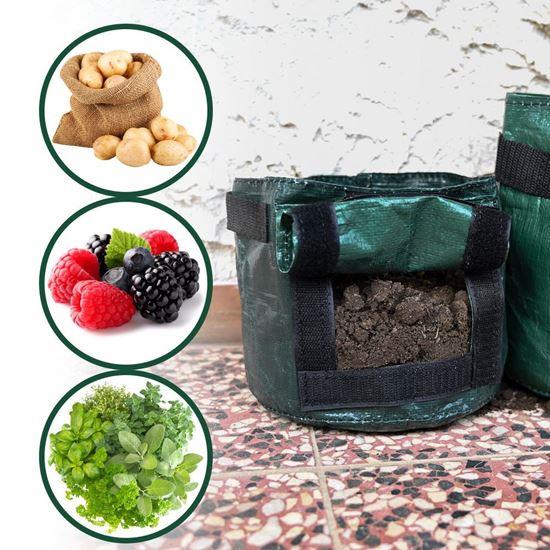 Imaginea din Sac de cultivare - S