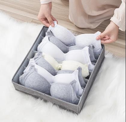 Imaginea din Organizator pentru lenjerie intimă - 7 compartimente