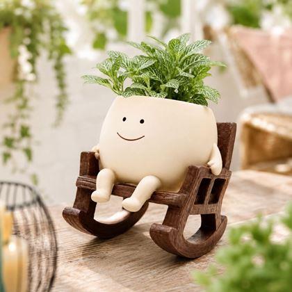 Imaginea din Ghiveci decorativ într-un balansoar
