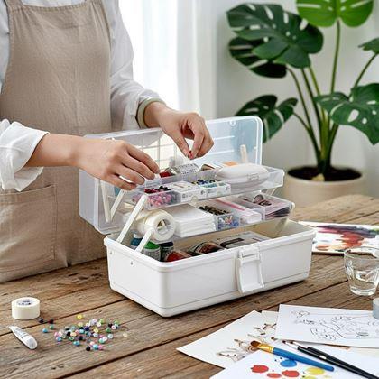 Imaginea din Organizator de valize