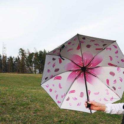 Imaginea din Umbrelă pliabilă  -  petale albe