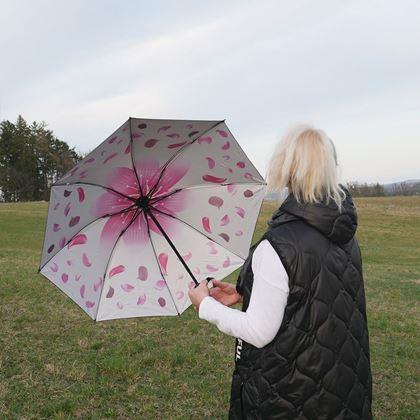 Imaginea din Umbrelă pliabilă  -  petale albe