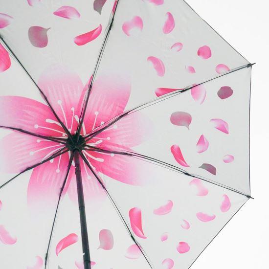 Imaginea din Umbrelă pliabilă  -  petale albe