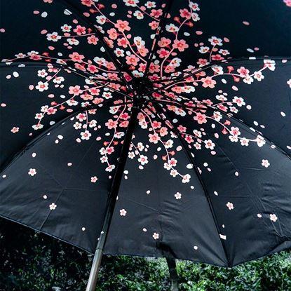 Imaginea Umbrelă pliabilă 