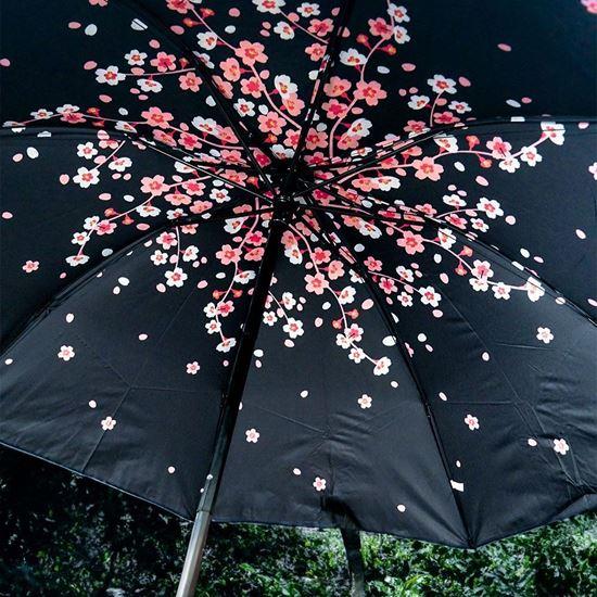 Imaginea din Umbrelă pliabilă  -  flori