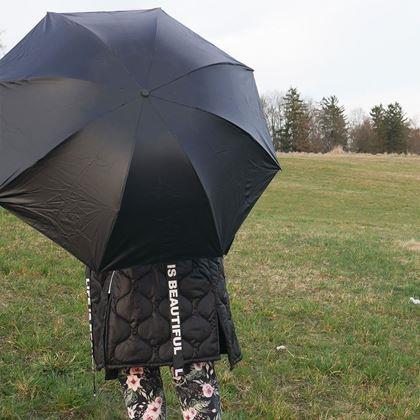 Imaginea din Umbrelă pliabilă  -  flori