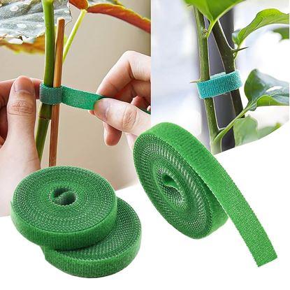 Imaginea Bandă de fixare pentru plante