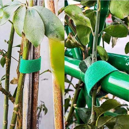 Imaginea din Bandă de fixare pentru plante