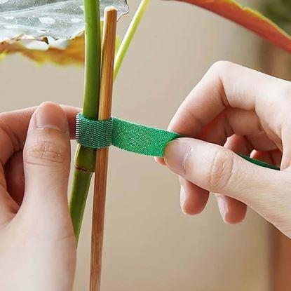Imaginea Bandă de fixare pentru plante