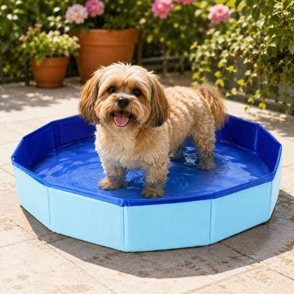 Imaginea din Piscină pliabilă pentru clătirea picioarelor lângă piscină