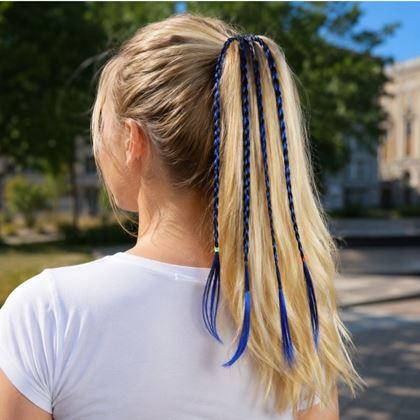 Imaginea din Elastic cu codițe  -  albastră