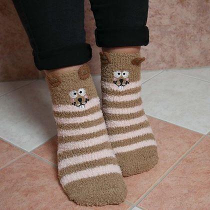 Imaginea din Șosete termice într-o cutie de cadou  -  veveriță