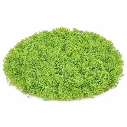 Imaginea din Mușchi artificial 32 g