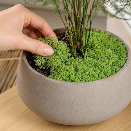 Imaginea din Mușchi artificial 32 g