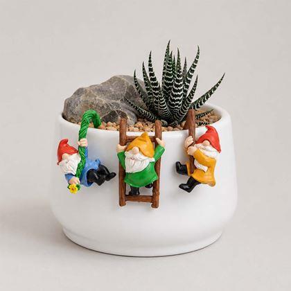 Imaginea din Set de 3 figurine decorative mici pentru ghiveci