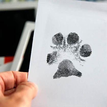 Imaginea din Set pentru amprenta lăbuței - Set pentru amprenta lăbuței cu ramă pentru fotografii