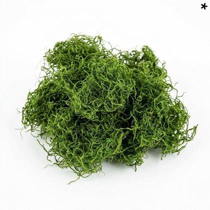 Imaginea din Mușchi artificial 32 g