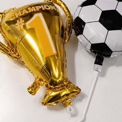Imaginea din Baloane de fotbal, 6 bucăți