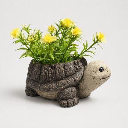 Imaginea din Ghiveci de flori - broască țestoasă