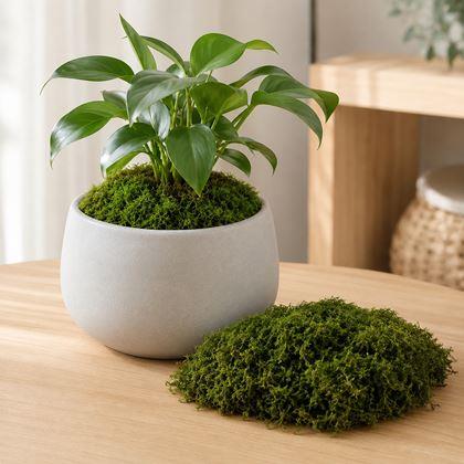 Imaginea din Mușchi artificial - 32 g