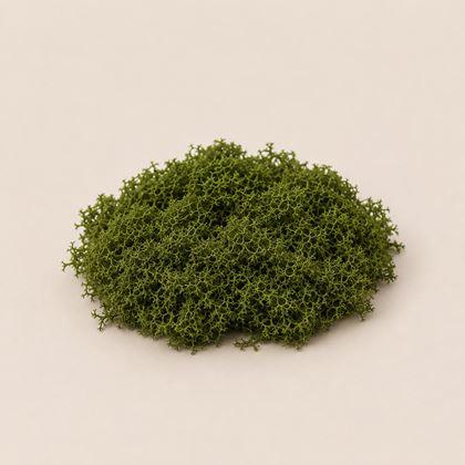 Imaginea din Mușchi artificial - 32 g