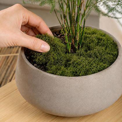 Imaginea din Mușchi artificial - 32 g