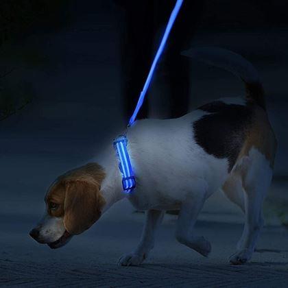 Imaginea din Zgardă luminoasă -  albastru M