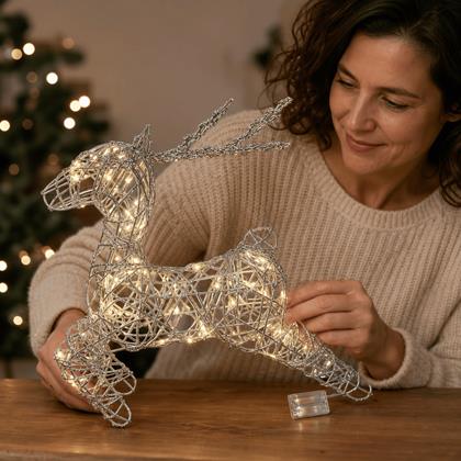 Imaginea din Iluminat LED de Crăciun cu ren - argintiu