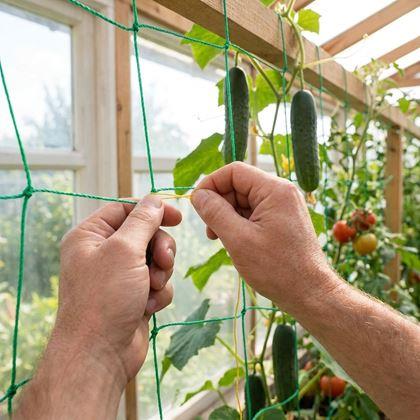 Imaginea din Plasă de susținere pentru cultivarea legumelor și florilor